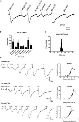 Identification of a General Odorant Receptor for Repellents in the Asian Corn Borer Ostrinia furnacalis